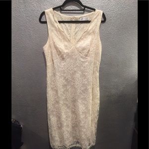 CDC Lace Dress. Size 12